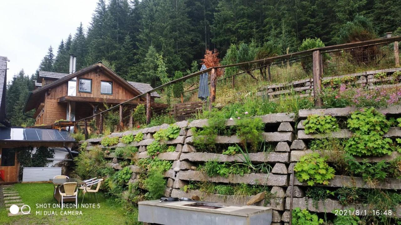 Chalet Steiermark Pusterwald Exterior foto