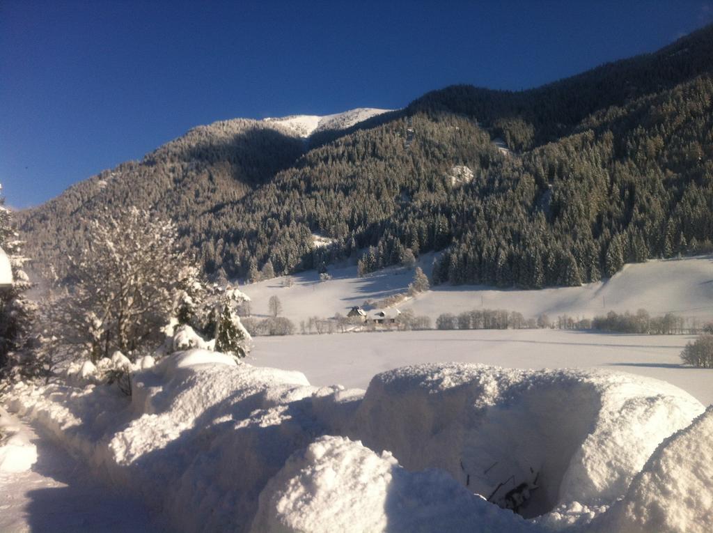 Chalet Steiermark Pusterwald Cameră foto